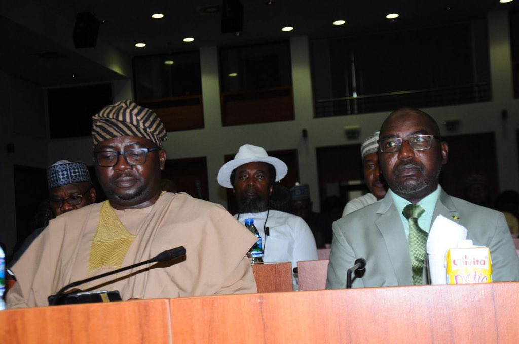 Taunts As Minister Of Power Is Put In Darkness During National Assembly Briefing (Photo) – Lifestyle Nigeria