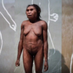 Evolution breakthrough after study finds Neanderthals ‘more human’ than previously thought