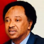 Shehu Sani Vows Total Support for Kaduna Assembly