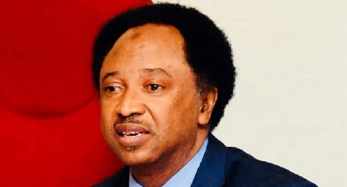 Shehu Sani Vows Total Support for Kaduna Assembly