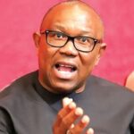 You Are Delusional For Asking Peter Obi To Leave Labour Party – Vice-Chairman Slams Obidients