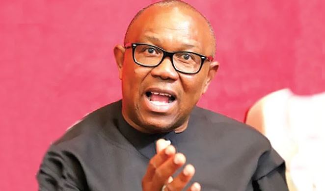 You Are Delusional For Asking Peter Obi To Leave Labour Party – Vice-Chairman Slams Obidients