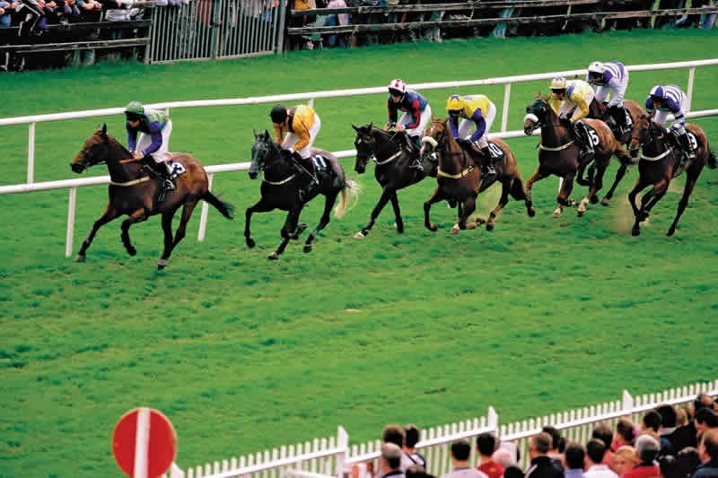 The Truth about Durban July Betting