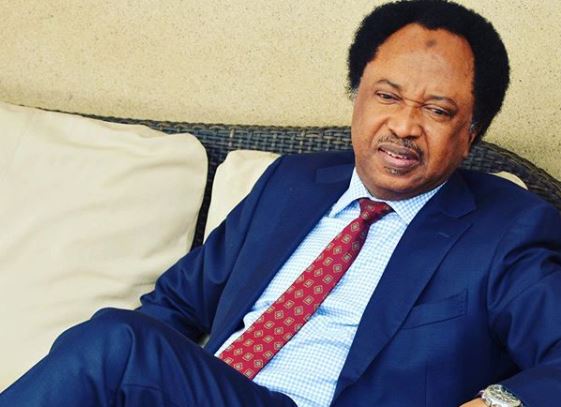 Rejecting Power From Military In 1999 Was Our Biggest Mistake — Shehu Sani