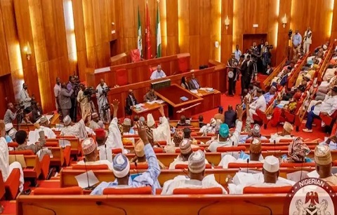 National Assembly Pushes For Two More South East States