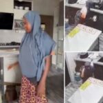 CCTV Captures Moment A Housemaid Urinated In Her Madam’s Mug In The Kitchen (Video)