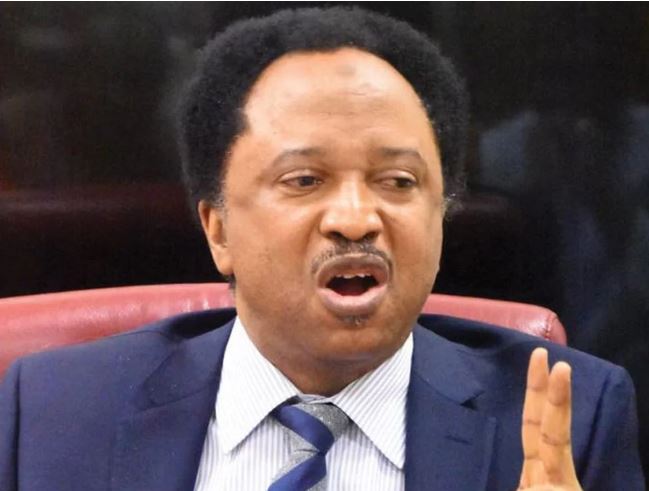 Shehu Sani Warns Akpabio to Avoid Wuse Over Protest in Abuja