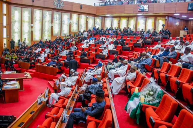 Senate Suspends Legislative Activities Over Death Of Reps Member