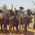 Settle Herders With Grazing Reserves – Miyetti Allah Tells Governors