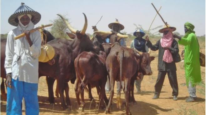 Settle Herders With Grazing Reserves – Miyetti Allah Tells Governors