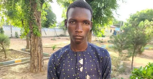 Yobe Police Arrest Man For Allegedly Abducting, Impregnating 20-Year-Old Lady