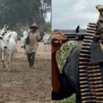 Tears as Suspected Herdsmen Kill 13 In Benue