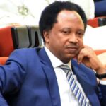 Animals, Humans Drank From Same Pond Under El-Rufai – Shehu Sani Says