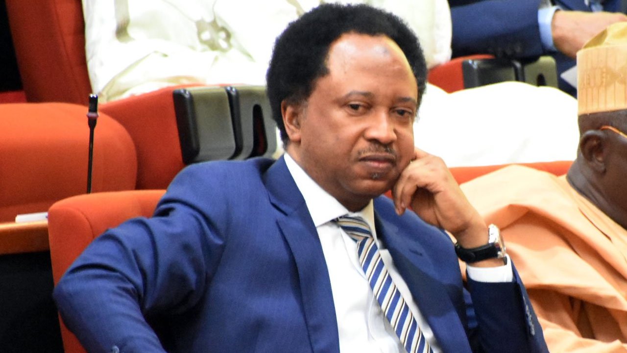 Animals, Humans Drank From Same Pond Under El-Rufai – Shehu Sani Says