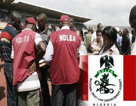 NDLEA Promotes 5,042 Officers