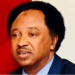 Supreme Court Freed LGs From Decades Of Captivity, Systemic Plunder – Shehu Sani