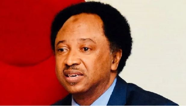 Supreme Court Freed LGs From Decades Of Captivity, Systemic Plunder – Shehu Sani