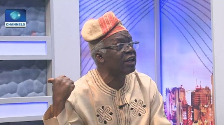 Governors Should Study Supreme Court Judgment – Falana