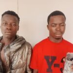 Adamawa Police Operatives Track Down Bag Snatchers, Arrest 2