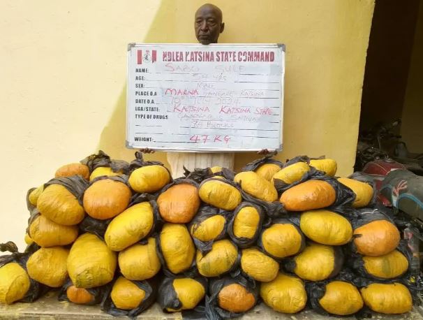 NDLEA Intercepts US, UK, Europe-Bound Cocaine, Opioids Concealed In Shoe Soles, Clothes In Lagos (Photos)