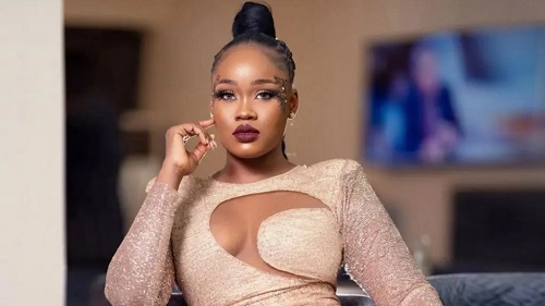 Ceec Raises Alarm After Suspected EFCC Officer Threatened Her Life in Lagos (Video)