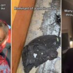 Lady Break Down In Tears As She Returns Home After 2 weeks To Find Her Fan Burnt To Ashes (Video)