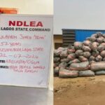 NDLEA Nabs Most Wanted Lagos Drug Baron, Temo After Years Of Evading Arrest