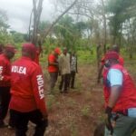 NDLEA Seizes 305 Blocks Of Cannabis, Arrests Suspect In Yobe