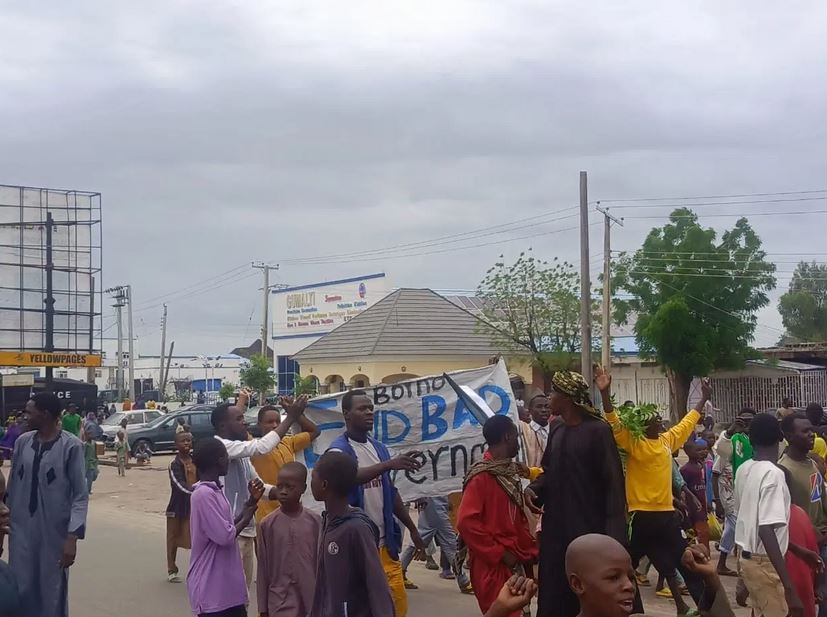 Protesters Demand Reversal Of Fuel Subsidy In Borno (Photos)