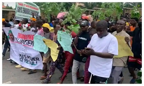 Banks, Petrol Stations, Shops Shut Down As Protests Begin in Ibadan