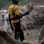 Panic As Herdsmen Attack Farmer In Borno, Chop Off His Hands