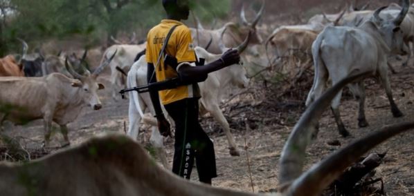 Panic As Herdsmen Attack Farmer In Borno, Chop Off His Hands