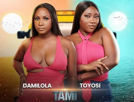 Why Housemates Conspired to Vote Us Out – Tami’s Dami