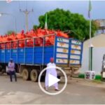 Governor Abba Yusuf Inspects Wheelbarrows He Wants to Use to Empower Youths In Kano (Video)