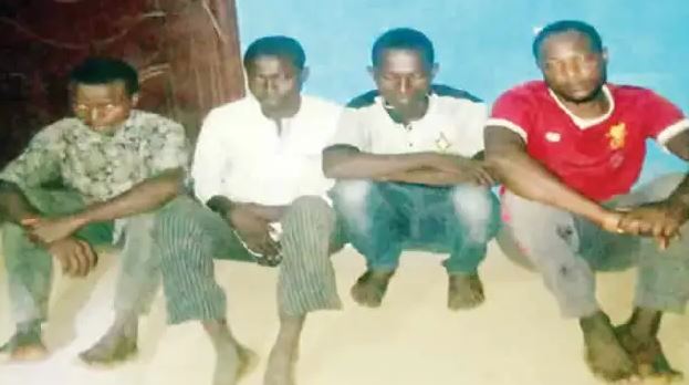 Five Suspects Arrested Over Alleged Theft Of 18 Cows