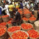 Prices Of Tomatoes, Pepper Crash To N60,000 Per Basket – Rewane