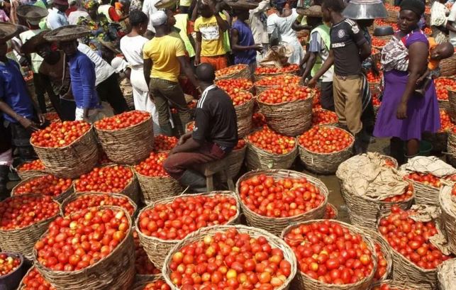 Prices Of Tomatoes, Pepper Crash To N60,000 Per Basket – Rewane