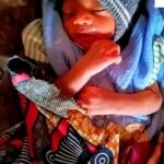 Bandits Kill Mother, Dump Her Newborn Baby In Zamfara Forest