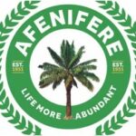 Afenifere Condemns Calls For Military Coup in Nigeria