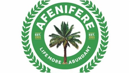 Afenifere Condemns Calls For Military Coup in Nigeria