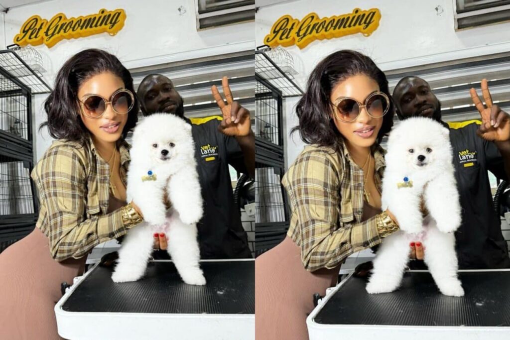 It’s The Best $4000 I Have Spent – Tonto Dikeh Excited As She Finally Takes Delivery of Her New Dog