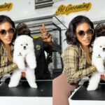 It’s The Best $4000 I Have Spent – Tonto Dikeh Excited As She Finally Takes Delivery of Her New Dog