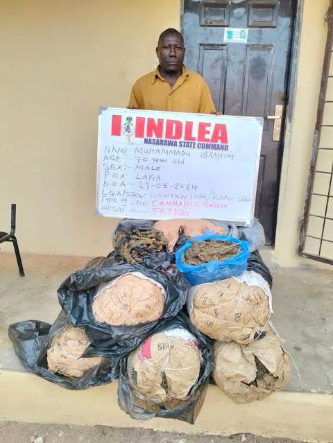 70-year-Old Grandpa, Three Others Arrested For Cultivating Cannabis On Six Hectares Of Land In Ogun