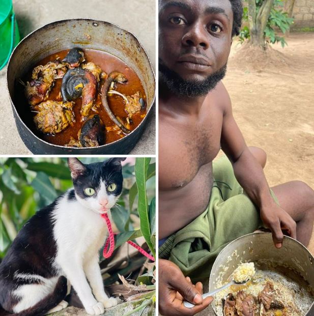 Man Kills His Pet And Uses It To Prepare A Meal For His Friends On His Birthday