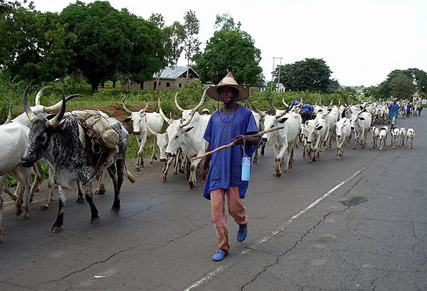 One Dies, Business Grounded As Ogun Hunters, Herders Clash