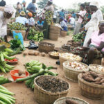 Food Crisis Will Linger For Long In Nigeria – Agric Expert Warns