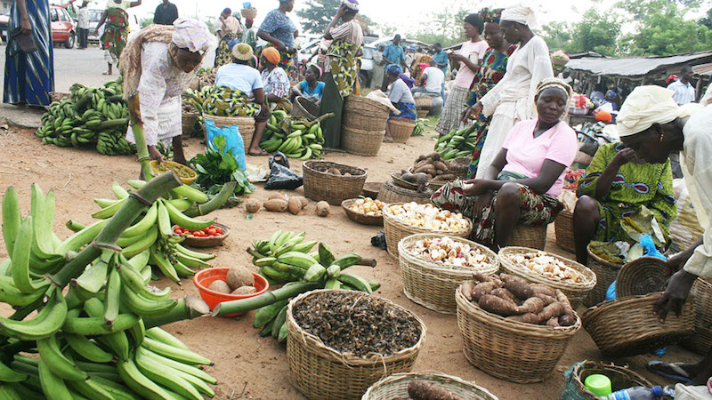 Food Crisis Will Linger For Long In Nigeria – Agric Expert Warns