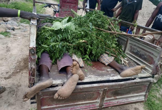 Terrorists Kill Four Farmers In Fresh Attack On Borno Community