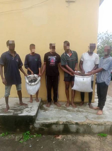 Police Raid Hideout, Arrest Six Suspected Drug Dealers, Cultists In Akwa Ibom