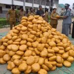 Kwara Customs Intercepts N57.4M Worth Of Marijuana, Generates N3.3bn In 2 months